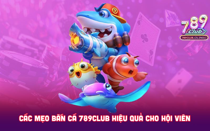 CAC-MEO-BAN-CA-789CLUB-HIEU-QUA-CHO-HOI-VIEN